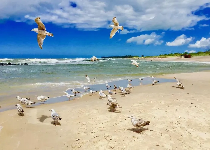 Marina Z Widokiem Na Morze 4*